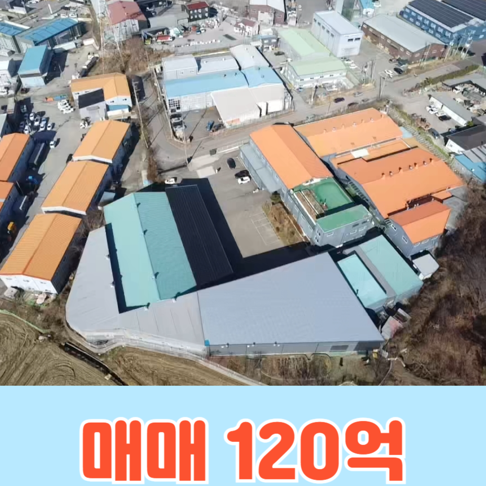 경기 화성만세구 향남읍 백토리 A,C,D,E,F,G동 화성시 향남읍 백토리 1,419평 대형 건물 공장(창고) 매매: 마당 츄레라 회차 가능 매매 매물번호 10154 사진 1